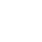 lock icon