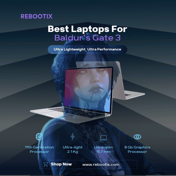 Laptops for Evelyn Baldurs Gate 3